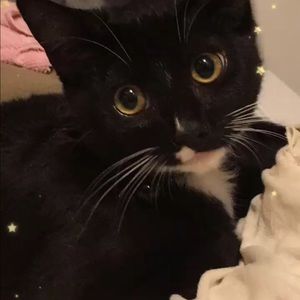 Meet your Posher, Natalie